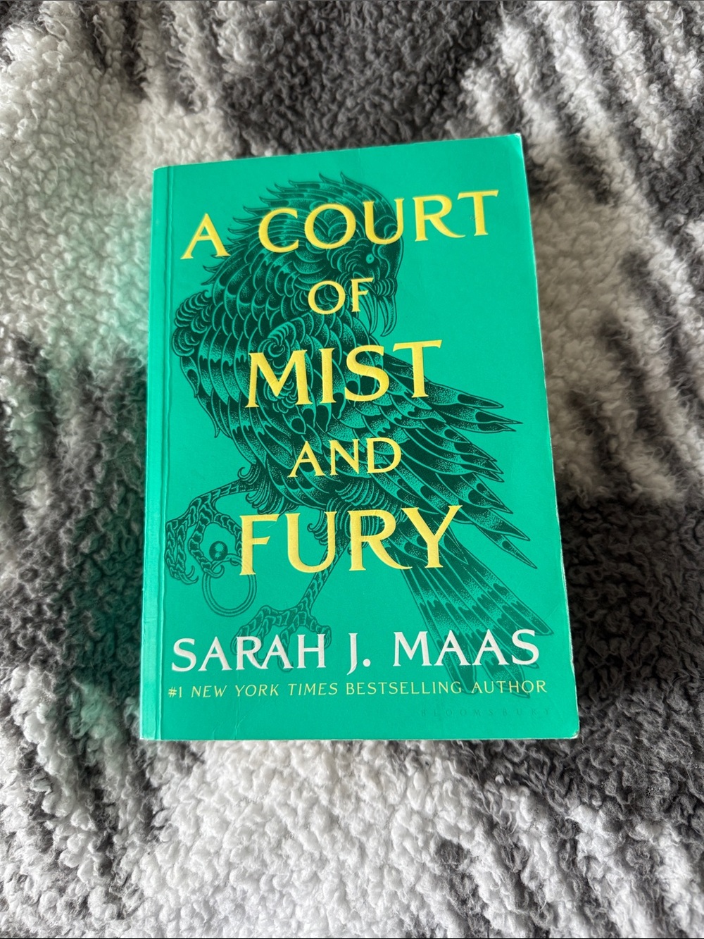 A Court of Mist and Fury by Sarah J. Maas - Teal Paperback